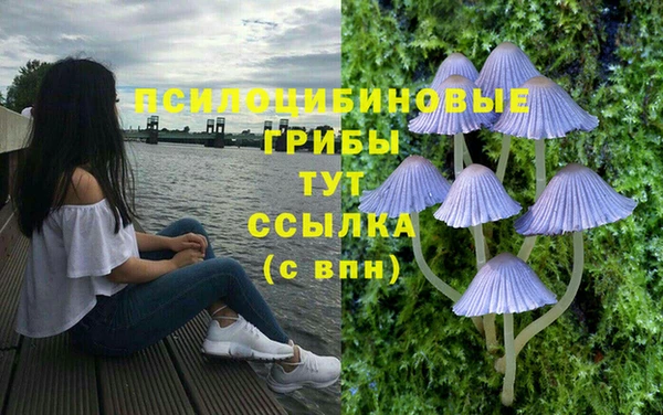хмурый Алексеевка